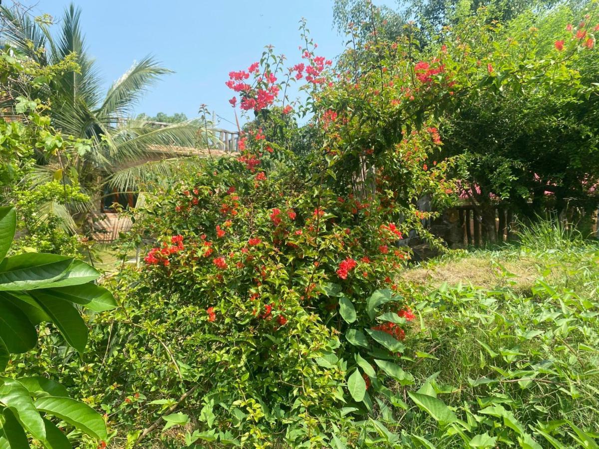 Ngoc Tien Farmer Eco Lodge Cát Tiên Exterior foto